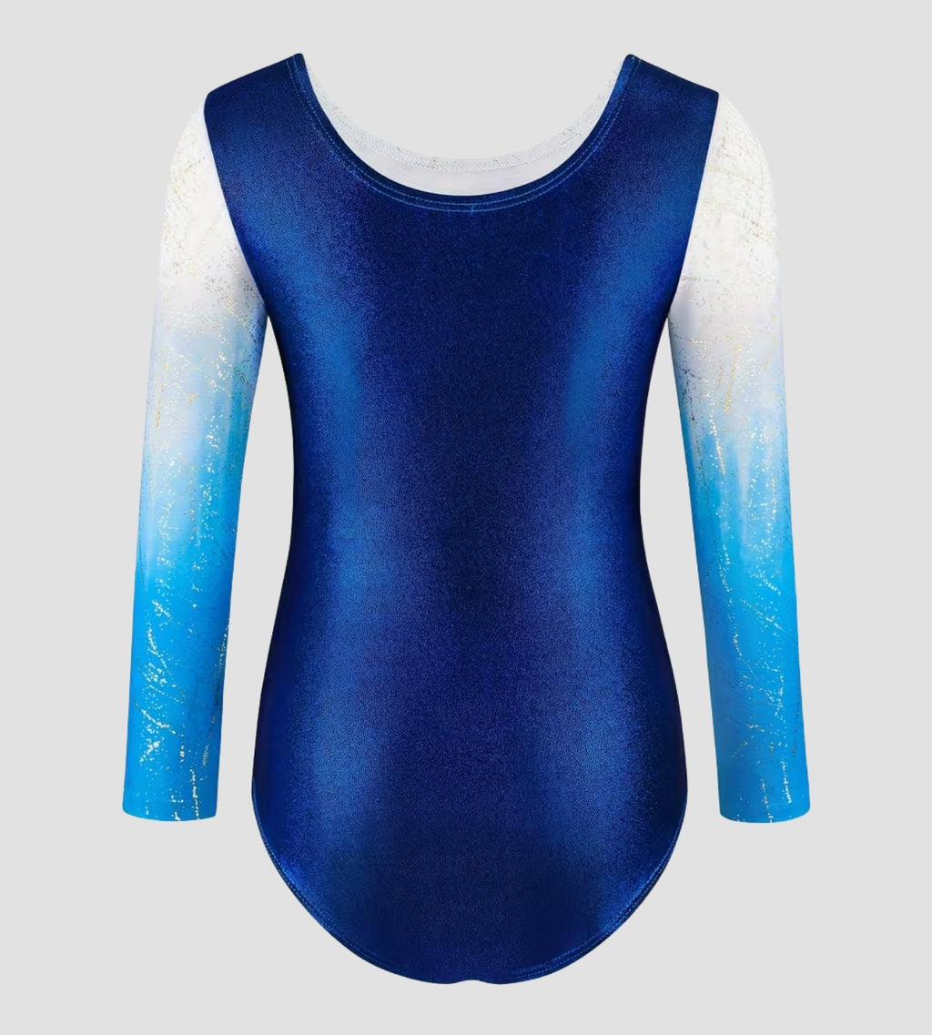 Frosted Sky Leotard ZWB7118