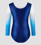 Frosted Sky Leotard ZWB7118