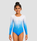 Frosted Sky Leotard ZWB7118