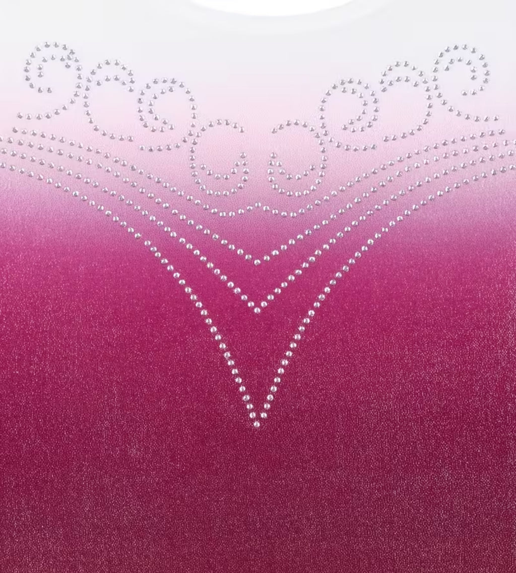 Pink Aurora Leotard ZWA5517