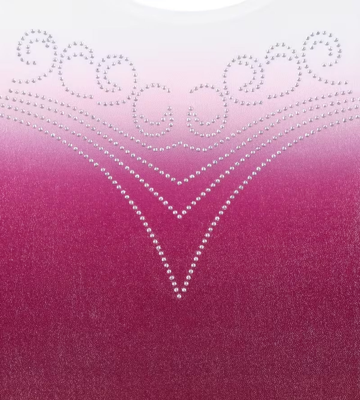 Pink Aurora Leotard ZWA5517