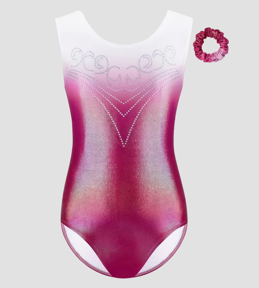 Pink Aurora Leotard ZWA5517